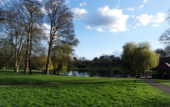 Local Public Park at Luton City photo