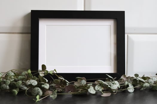 Horizontal black frame mockup with pearl of hearts plant photo