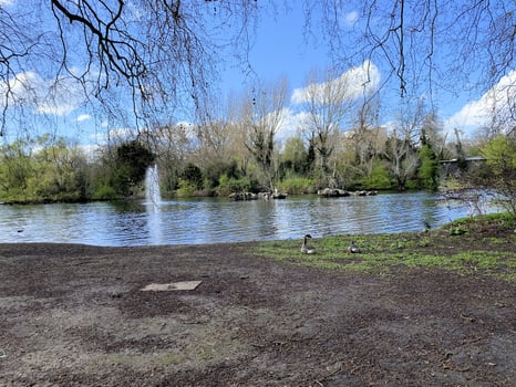 A view of a Park in London photo
