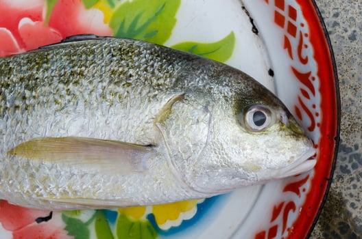 Fresh Fish for Cooking photo