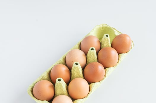 Eggs from egg tray isolated on white background. Eggs protected in a light paper recycling tray photo