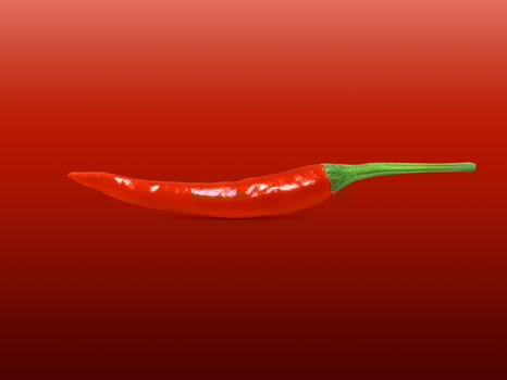 Fresh red pepper isolated on red background photo