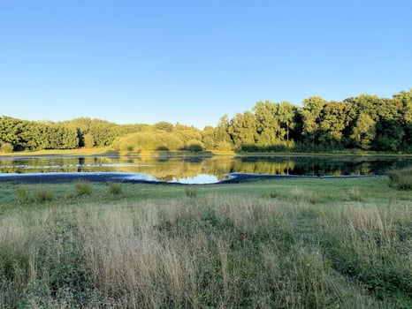 A view of Brown Moss Nature Reserve photo