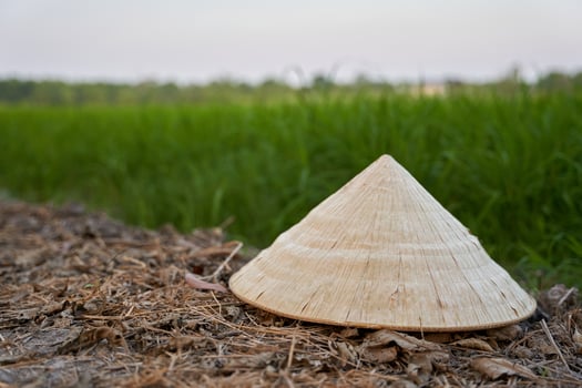 concept beauty of Vietnamese conical hat on the ground floor with blur green rice field background photo
