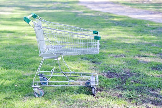 shopping trolley in the garden photo