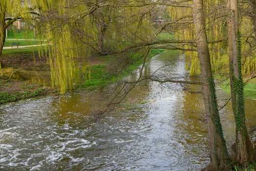 spring time in westphalia photo