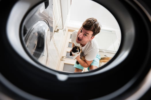 Man with cat view from washing machine inside. Male does laundry daily routine. photo