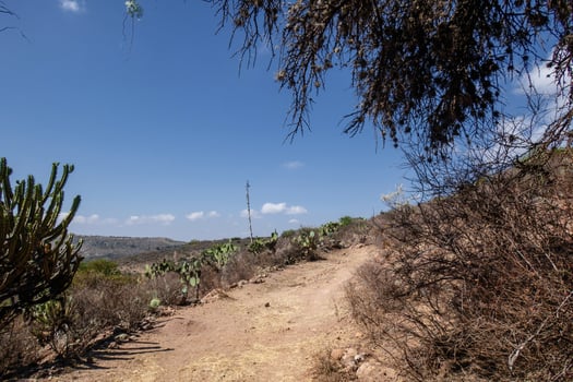 Dirt road leads to the mountains ideal for trail running in semi-desert photo
