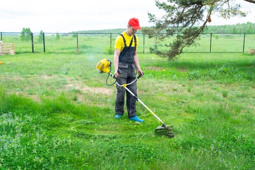 A male gardener mows the green grass of the lawn in the backyard with a gasoline mower. Trimmer for the care of a garden plot photo