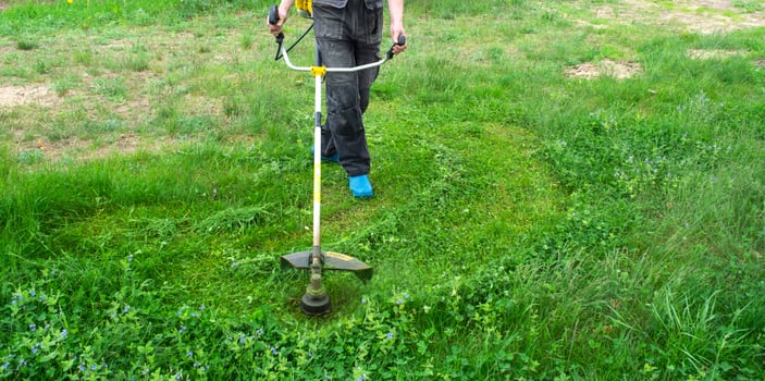 A male gardener mows the green grass of the lawn in the backyard with a gasoline mower. Trimmer for the care of a garden plot photo