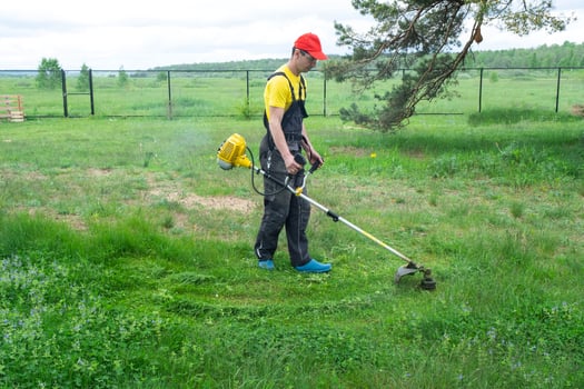 A male gardener mows the green grass of the lawn in the backyard with a gasoline mower. Trimmer for the care of a garden plot photo