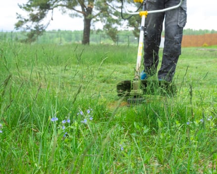 A male gardener mows the green grass of the lawn in the backyard with a gasoline mower. Trimmer for the care of a garden plot photo