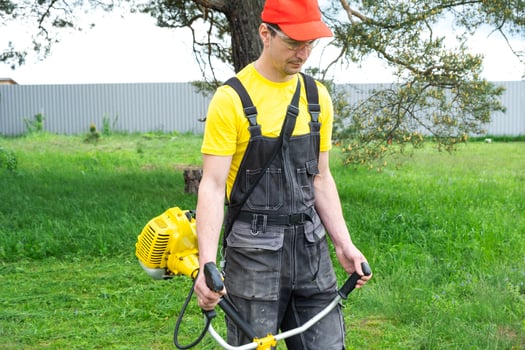 A male gardener mows the green grass of the lawn in the backyard with a gasoline mower. Trimmer for the care of a garden plot photo