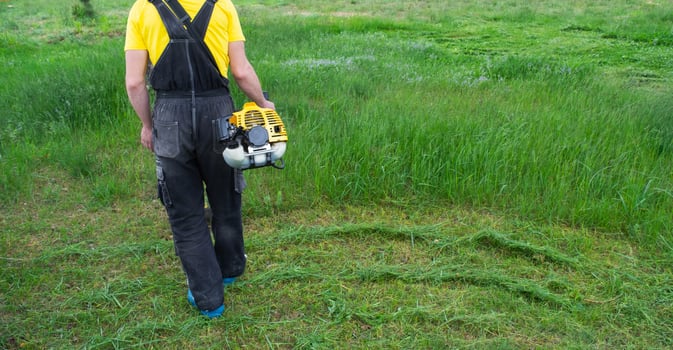 A male gardener mows the green grass of the lawn in the backyard with a gasoline mower. Trimmer for the care of a garden plot photo