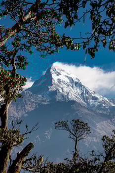 Beautiful view of Annapurna mountain range , Nepal photo