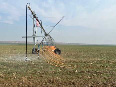 Irrigation system watering the field with a high pressure water jet photo