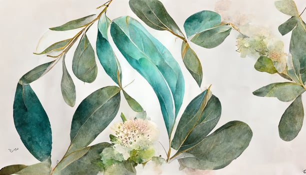 watercolor Eucalyptus leaves seamless border, Watercolor floral illustration, Greenery and jasmine. photo