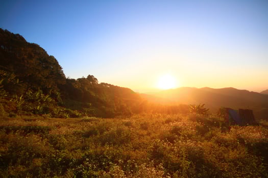 Beautiful bloming wild flowers fields and meadow in springtime on sunset and natural sunlight shining on mountain. photo