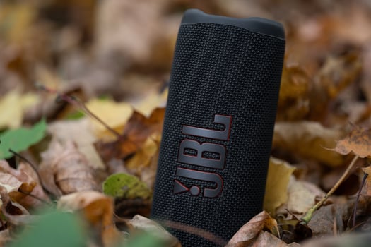 LVIV, UKRAINE, OCTOBER 12, 2022, JBL Flip 6 Black, portable bluetooth speaker outdoors. photo