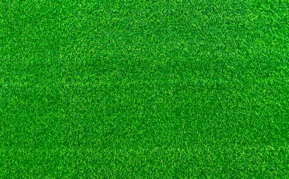 Green grass texture background grass garden concept used for making green background football pitch, Grass Golf, green lawn pattern textured background.. photo