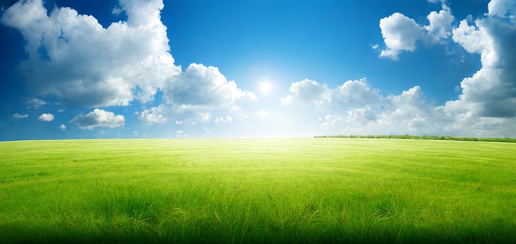 The landscape of natural grass field with . photo