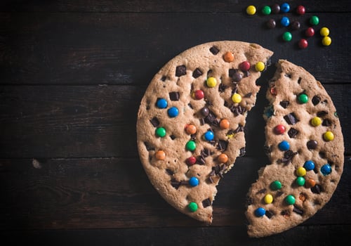 Big chocolate chip cookie photo