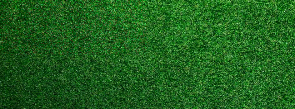 Top view Green grass texture background. Panoramic web banner or wallpaper with copy space. photo