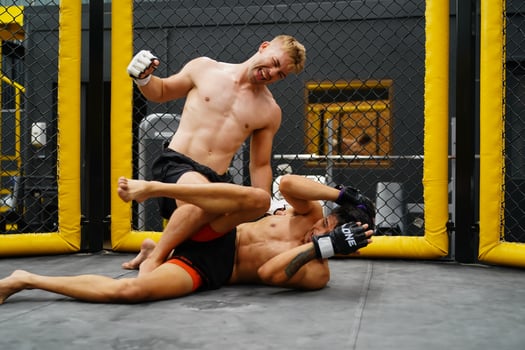 Mixed Martial Art, When the opponent is knocked down throwing fists into an opponent's face or body will cause the opponent to raise his hand to defend and not counterattack photo
