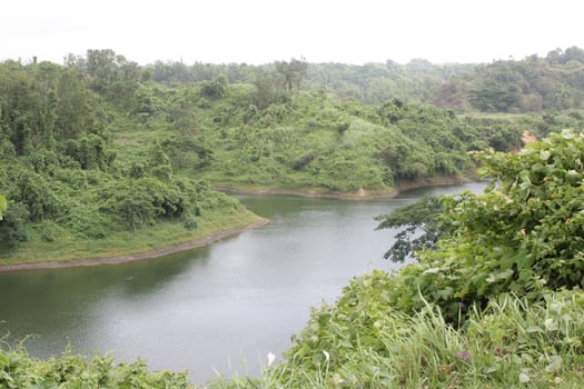 Beauty of Bangladesh photo
