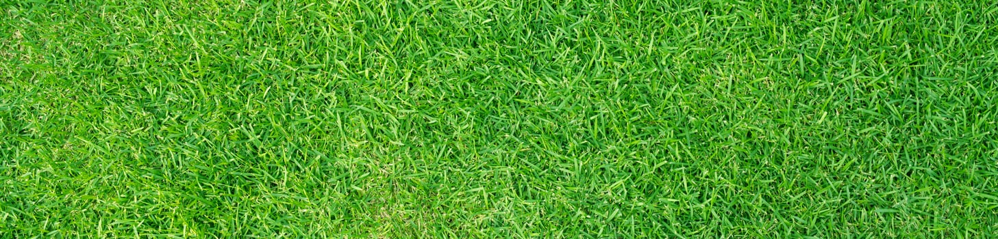 Artificial grass field meadow green. Top View Texture. photo