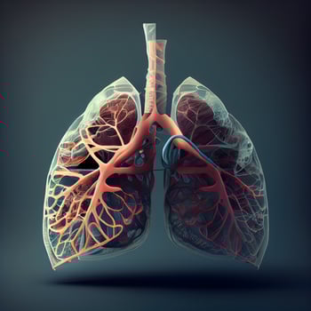 Lungs anatomy on dark background. 3D illustration, 3D rendering. photo