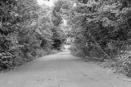 Beautiful empty asphalt road in countryside on light background photo