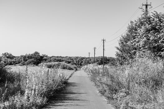 Beautiful empty asphalt road in countryside on light background photo
