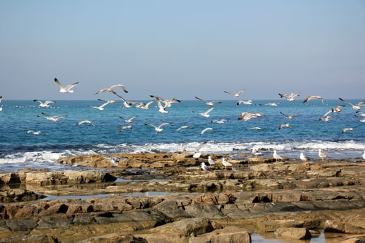 Coast of the Mediterranean Sea in northern Israel. photo