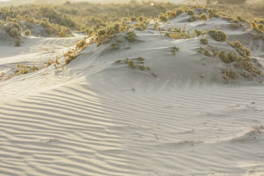 waves in the sand at the beach from the red sea photo