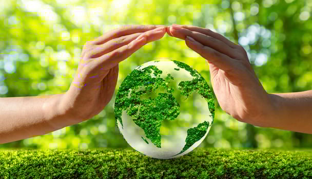 environment Earth Day In the hands of trees growing seedlings. Bokeh green Background Female hand holding tree on nature field grass Forest conservation concept photo