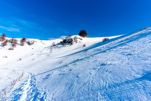 2023 01 128 CampoFontana snowy landscapes 2 photo