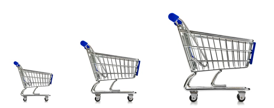 Shopping Cart Three Sizes photo