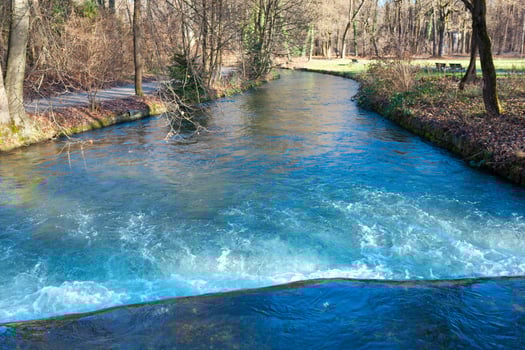 A river flowing through a forest photo