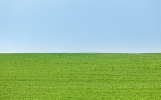 Background of green field with blue sky photo