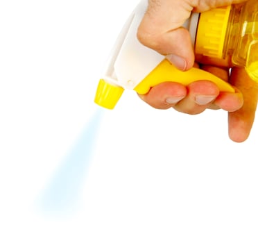 Hand with spray bottle for cleaning photo