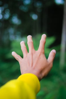 Explorer male hand in a green rainy forest. photo