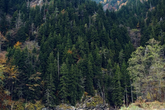 mountains in the forest autumn river landscape nature fresh air photo