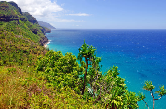 Tropical coast in Hawaii photo