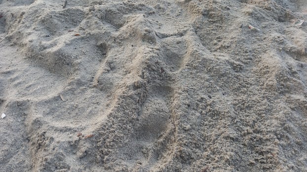 a close up of sand on the beach photo