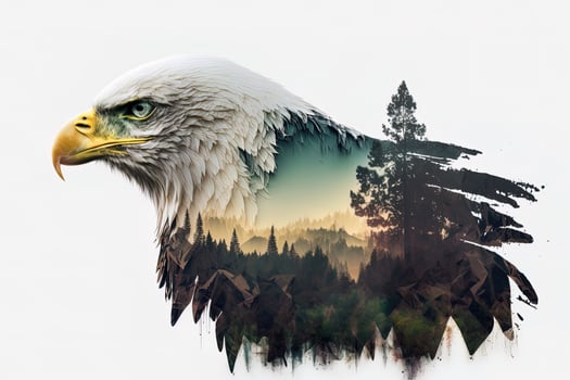 Bald eagle and the Pacific Northwest, double exposure photography. . Leader, courage, strong and brave, majestic lion. Scout photo