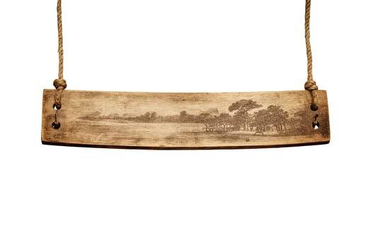 Wooden sign plain hanging from rope isolated on white background. photo