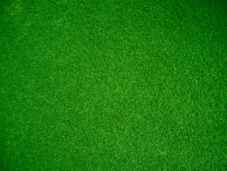 Green grass texture background grass garden concept used for making green background football pitch, Grass Golf, green lawn pattern textured background... photo