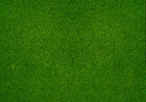 Green grass texture background grass garden concept used for making green background football pitch, Grass Golf, green lawn pattern textured background... photo