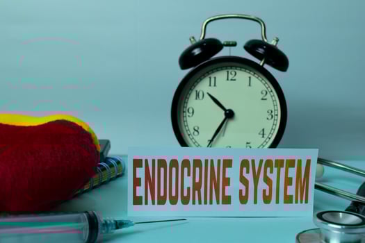 Endocrine System Planning on Background of Working Table with Office Supplies. Medical and Healthcare Concept Planning on White Background photo